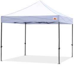 10 X 10 Tent With Setup