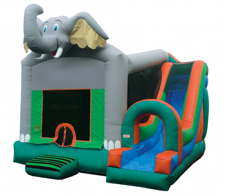 Wet or Dry Combo (Bounce House w/ Slide)